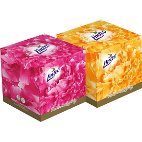 Linteo Premium 3-ply Paper Tissues, Box of 60 pcs