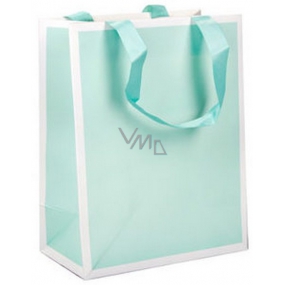 Ditipo Gift paper bag 17.8 x 22.9 x 9.9 cm Chic light green - white