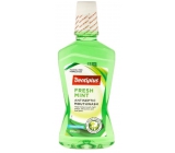 Dentiplus Fresh Mint mouthwash without alcohol, with mint flavor 500 ml