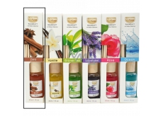 Fragrant Room Diffuser 30 ml Zimt 9278