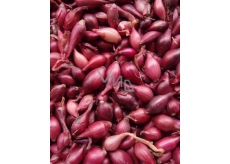 Karmen Onion Set weighed 250 g