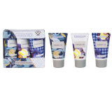 Heathcote & Ivory Vintage & Blooms nourishing hand and nail cream 3 x 30 ml, cosmetic set