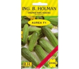 Holman F1 Aurea cucumbers 2,5 g