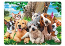 Prime3D postcard - Puppies 16 x 12 cm