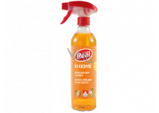 Real Kitchen active foam cleaner with a strong degreasing effect on grease, burns and settled dirt spray 550 g
