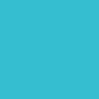 Miss Sports Lasting Color Nail Polish long-lasting 060 8 ml