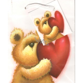 Nekupto Gift paper bag 14 x 11 x 6.5 cm Teddy bear heart 1 piece T329 02