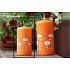 Lima Citronela mosquito repellent candle scented with flowers orange cylinder 50 x 100 mm