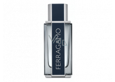 Salvatore Ferragamo Ferragamo Eau de Toilette 100 ml Tester