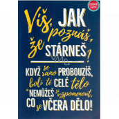 Albi Playing card in the envelope Birthday Birthday card with text We are not old Rybičky 48 14.8 x 21 cm
