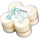 Bolsius True Moods In Balance White Tea & Mint Leaves - White tea and mint leaves maxi scented tealights 8 pieces, burning time 8 hours