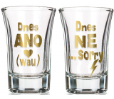 Nekupto Pair Shot Glasses Today YES and Today NO 2 x 40 ml