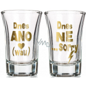 Nekupto Pair Shot Glasses Today YES and Today NO 2 x 40 ml