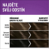Schwarzkopf Perfect Mousse Permanent Foam Color Hair Dye 400 Ice Espresso
