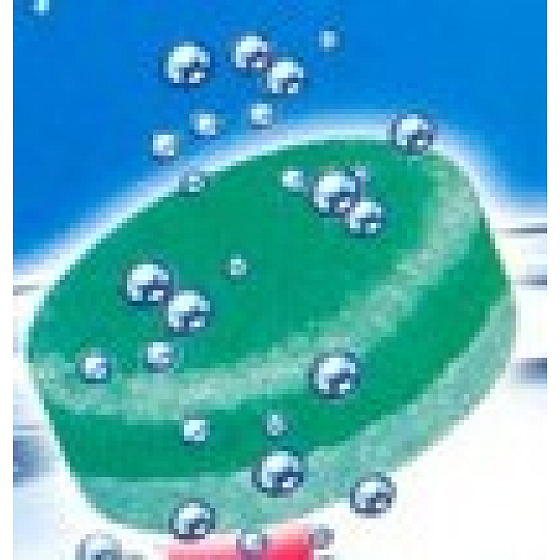 Tofix Toilet cleaning tablet 1 piece