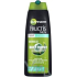Garnier Fructis Men Daily Energy strengthening shampoo for strong hair 250 ml