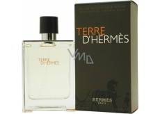 Hermes Terre D´Hermes toaletní voda pro muže 100 ml