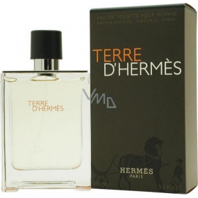 Hermes Terre D Hermes eau de toilette for men 100 ml