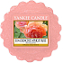 Yankee Candle Sun Drenched Apricot Rose - Scented Wax Melt for Aromatherapy Lamp 22 g