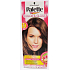 Schwarzkopf Palette Color & Gloss hair color 6 - 0 Dazzling caramel