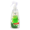 Bione Cosmetics Cannabis Foot Spray with Disinfectant and Softening Ingredient 260 ml
