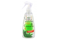 Bione Cosmetics Cannabis Foot Spray with disinfectant and softener 260 ml