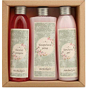 Bohemia Gifts Nostalgia Spa bath 250 ml + shower gel 200 ml + hair shampoo 200 ml, cosmetic set