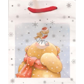 Albi Gift paper small bag 13.5 x 11 x 6 cm Christmas TS4 96099
