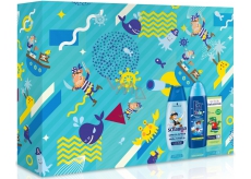 Fa Kids Boys shower gel 250 ml + Schauma children's hair shampoo 250 ml + Vademecum My Little Toothpaste 50 ml, cosmetic set
