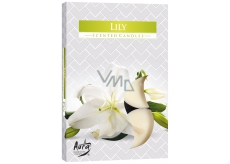 Bispol TEA CANDLE Lily 6pcs 5583