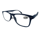 Berkeley Reading dioptric glasses +2.5 plastic blue 1 piece MC2268