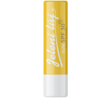 Regina Sun with high sun protection SPF30 deer tallow 4,5 g