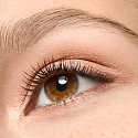Essence Cream Eyeshadow 01 Rose 5 g
