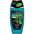 Palmolive shower gel 3in1 for men Sport 250 ml