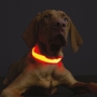 Albi Be seen! Shining, flashing collar for small dogs waterproof, size S, 25 - 36 cm, illuminates up to 60 hours