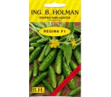 Holman F1 Regina cucumbers 2,5 g