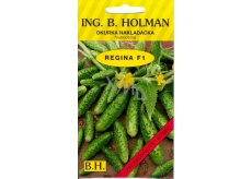 Holman F1 Regina cucumbers 2,5 g