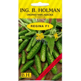 Holman F1 Regina cucumbers 2,5 g