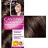 Loreal Paris Casting Creme Gloss hair color 513 ice praline