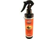Salon Chic Professional Moroccan Argan Oil Hair Spray for Protection Against Heat and Dryness 200 ml