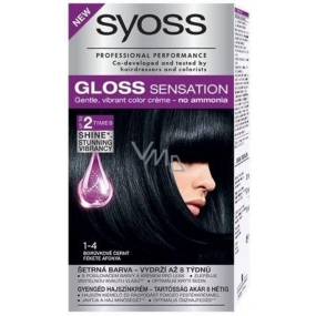 Syoss Gloss Sensation Gentle hair color without ammonia 1-4 Blueberry black 115 ml