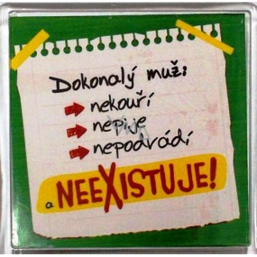 Nekupto Merry magnets The perfect man does not smoke, does not drink, does not cheat and does not exist! 6 x 6 cm