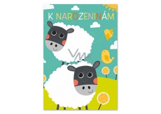Ditipo Playing Birthday Card Dagmar Patrasová Sheep Belt 224 x 157 mm
