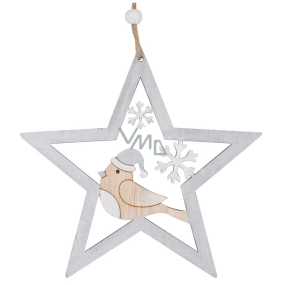 Star with bird for hanging Silver 14 cm