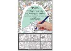 Creative coloring book animal kingdom 12 motifs, 24 sheets 23 x 16 cm