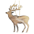 Deer wooden tan white for hanging 10 cm