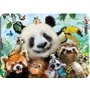 Prime3D Magnet - Zoo Selfie 9x7cm
