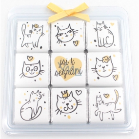 Nekupto Chocolate puzzle Valentine's Day Cats 9 x 5 g, 11 x 11.5 x 0.7 cm