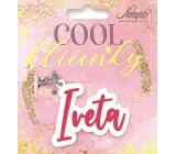 Nekupto Cool name keyring Iveta 1 piece