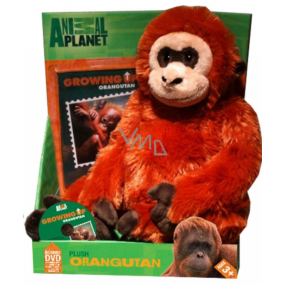 EP Line Animal Planet Orangutan plush toy with DVD, recommended age 3+